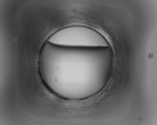 X0000101390009200807071016