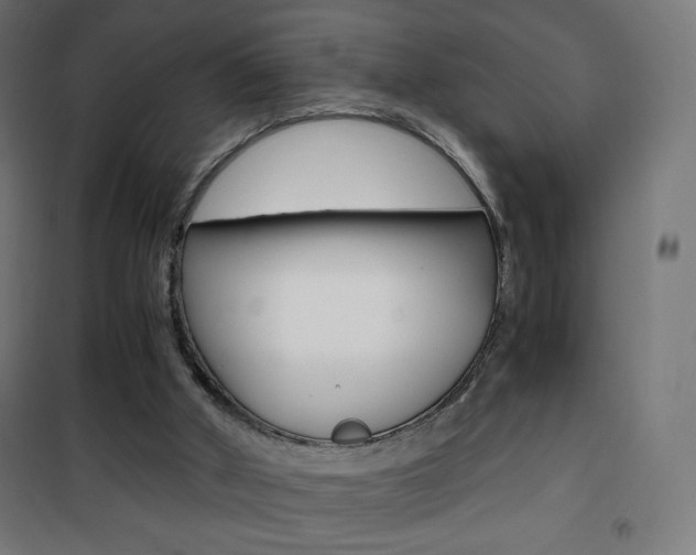 X0000101390010200807071016