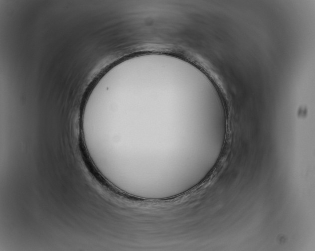 X0000101390011200807071016