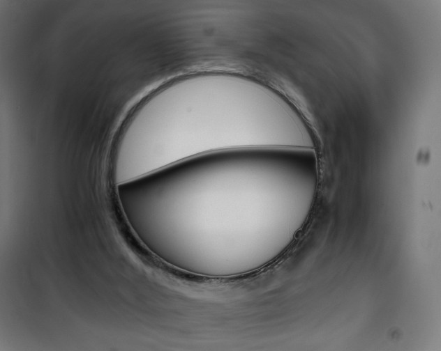 X0000101390012200807071016