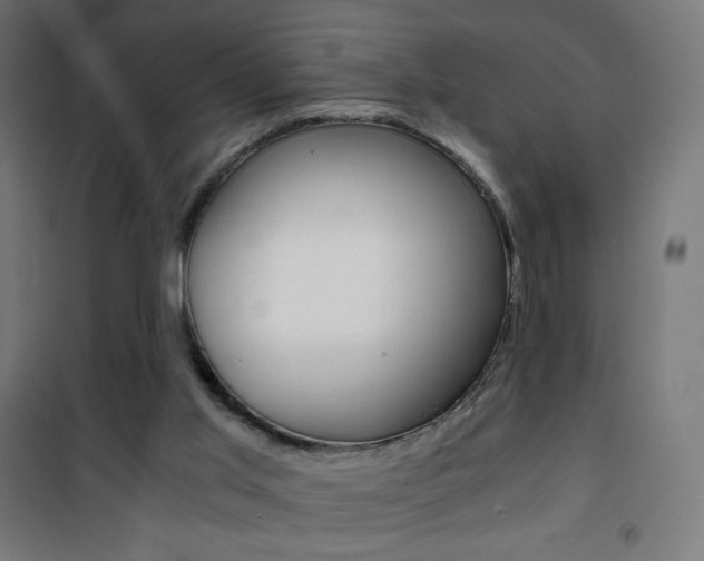 X0000101390013200807071016