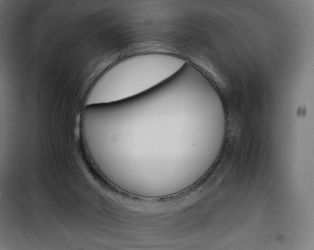 X0000101390014200807071016