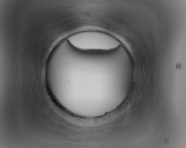 X0000101390015200807071016