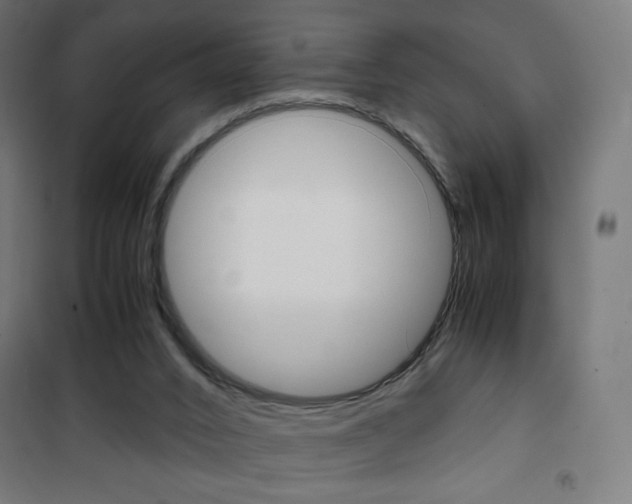 X0000101390016200807071016