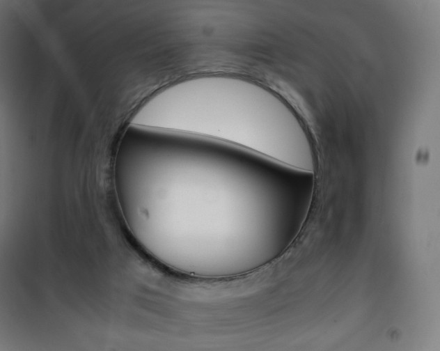 X0000101390017200807071016