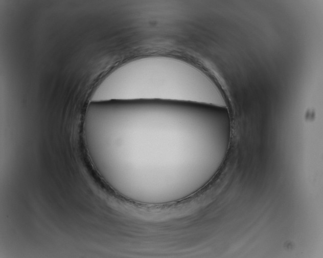 X0000101390018200807071016