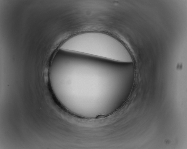 X0000101390019200807071016