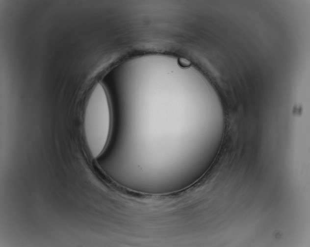 X0000101390020200807071016