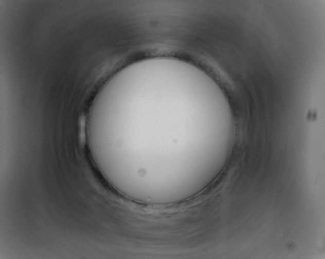 X0000101390022200807071016