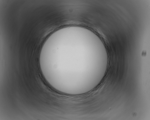 X0000101390024200807071016
