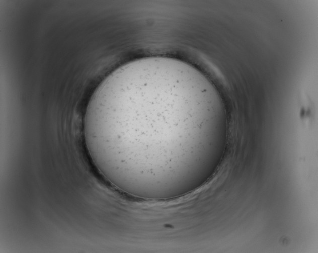 X0000101390025200807071016