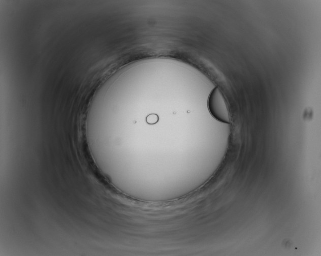 X0000101390026200807071016