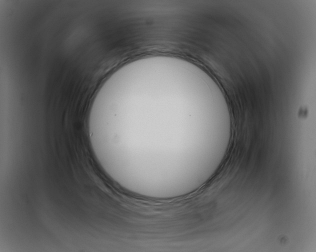X0000101390028200807071016