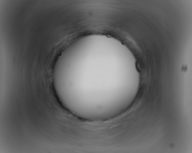 X0000101390029200807071016
