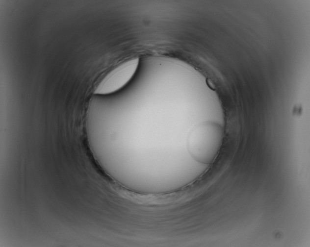X0000101390030200807071016