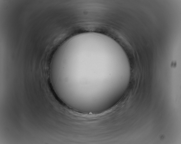 X0000101390031200807071016