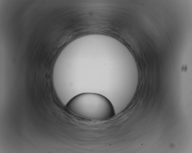 X0000101390032200807071016
