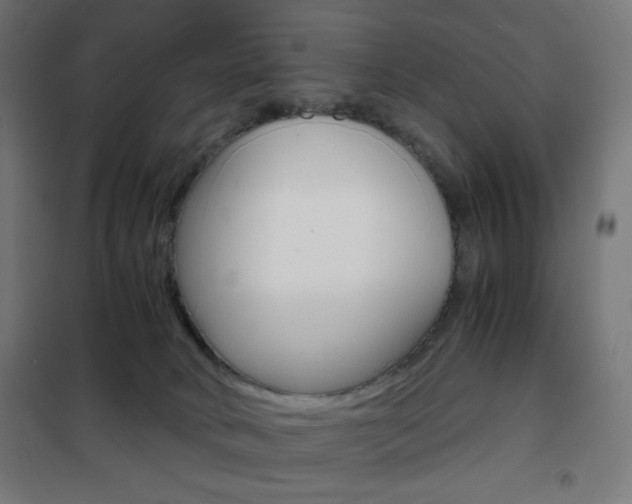 X0000101390034200807071016
