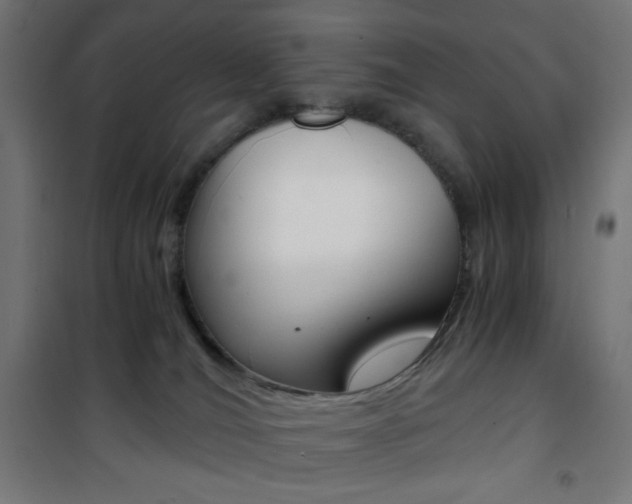 X0000101390036200807071016