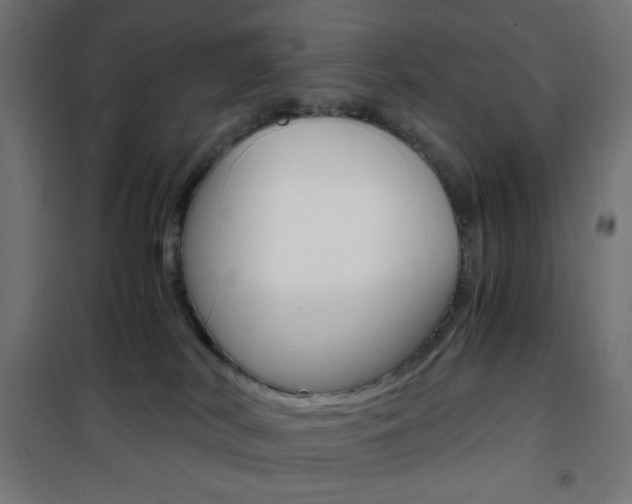 X0000101390038200807071016