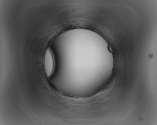 X0000101390040200807071016