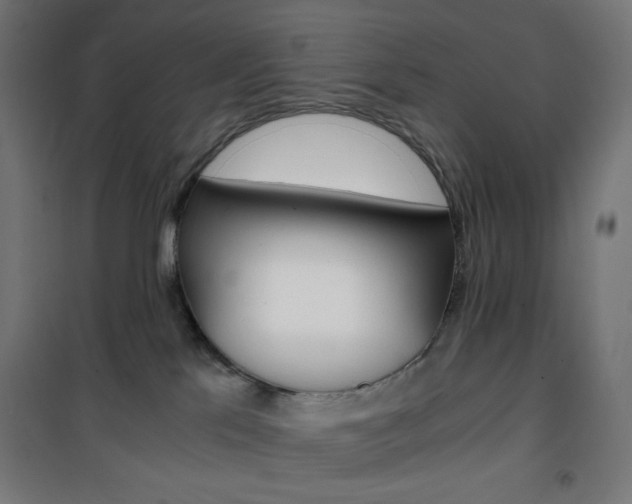 X0000101390041200807071016
