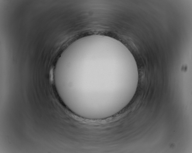 X0000101390042200807071016