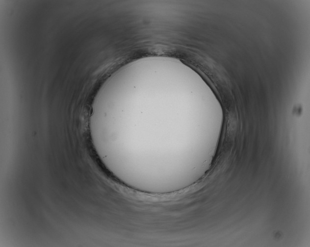 X0000101390043200807071016