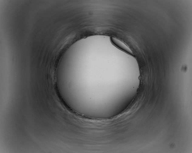 X0000101390044200807071016