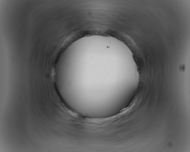 X0000101390045200807071016