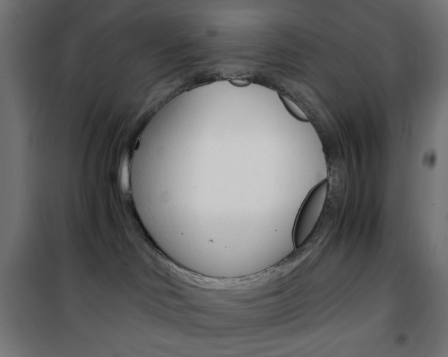 X0000101390046200807071016