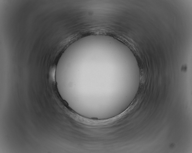 X0000101390047200807071016