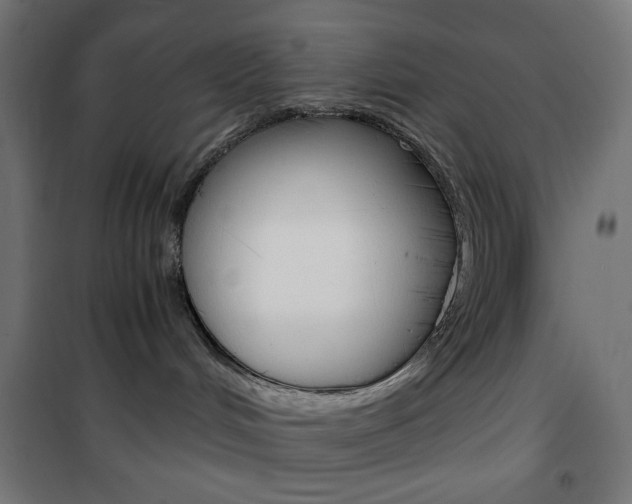 X0000101390048200807071016