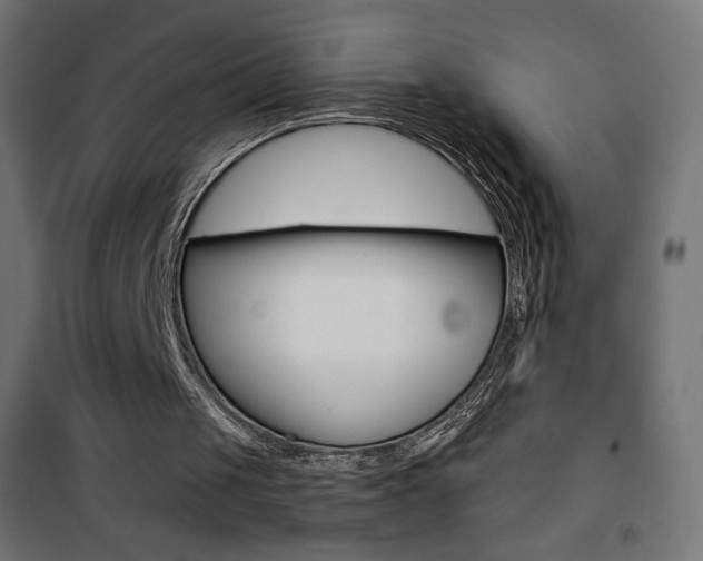 X0000101390049200807071015