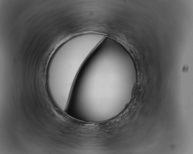 X0000101390050200807071015