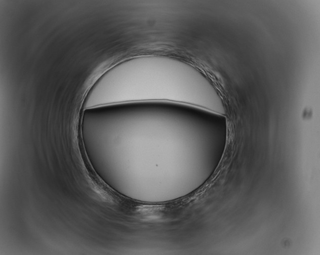 X0000101390051200807071015