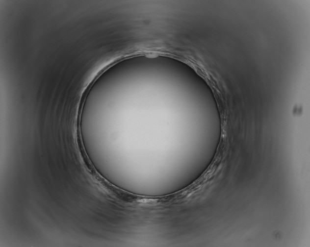 X0000101390052200807071015