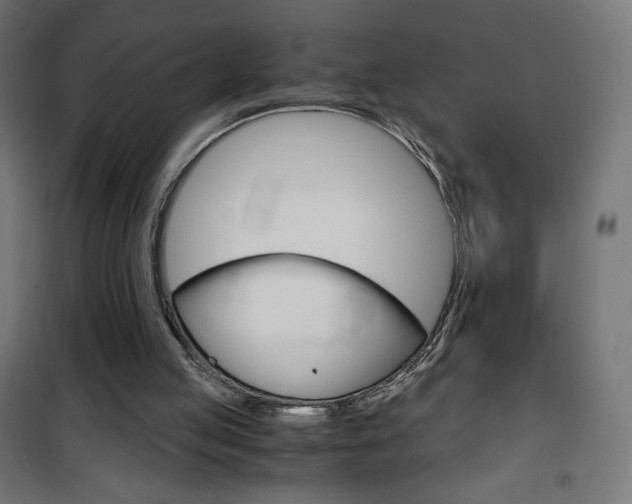 X0000101390053200807071015