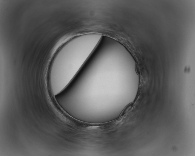 X0000101390054200807071015