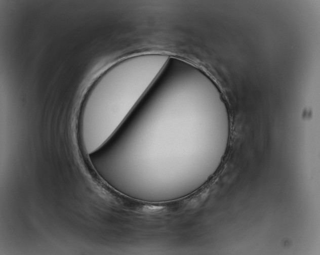 X0000101390055200807071015
