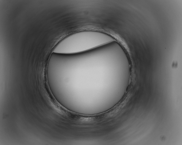 X0000101390057200807071015