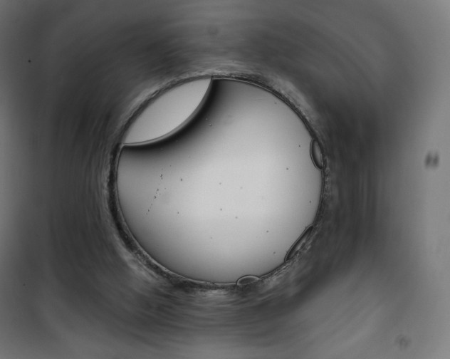 X0000101390058200807071015