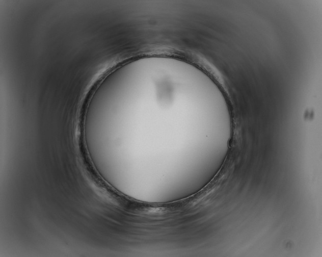 X0000101390059200807071015