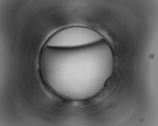 X0000101390060200807071015