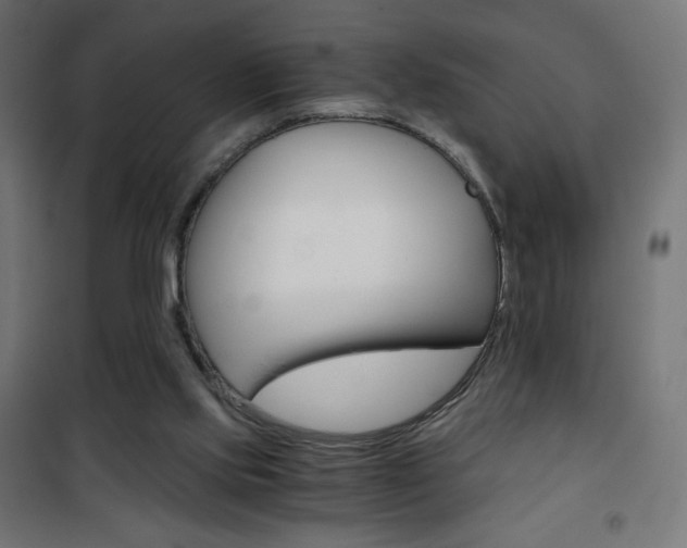 X0000101390061200807071015