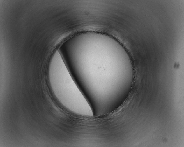 X0000101390062200807071015