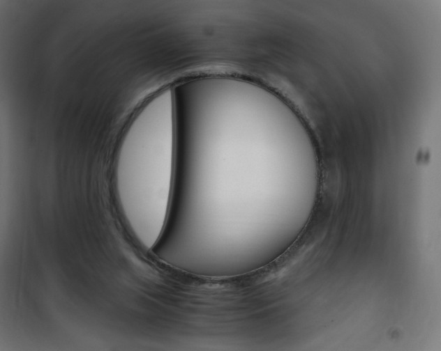 X0000101390063200807071015