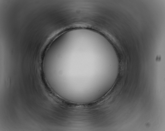 X0000101390064200807071015