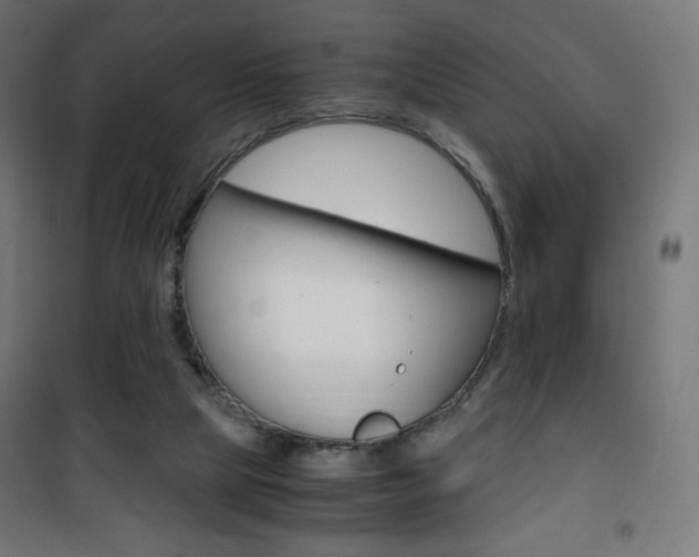 X0000101390065200807071015