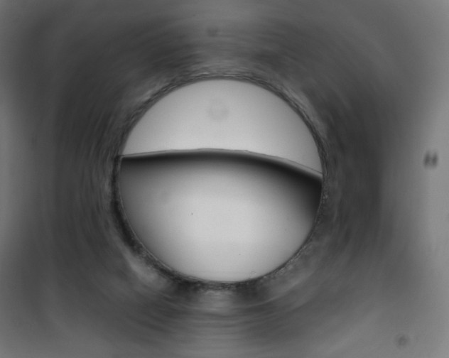 X0000101390066200807071015
